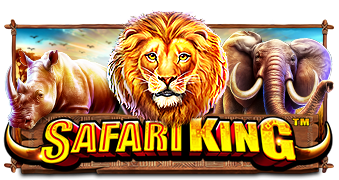 SafariKing SafariKing