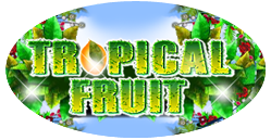Tropical Fruits Tropical Fruits